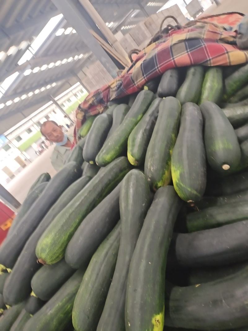 青南瓜上市了！3到4斤！质量好价格合理！货源充足！
