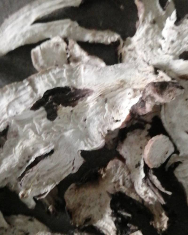 产地直销，熟白芍狗头片，无流烘干，产地河南商丘市虞城县