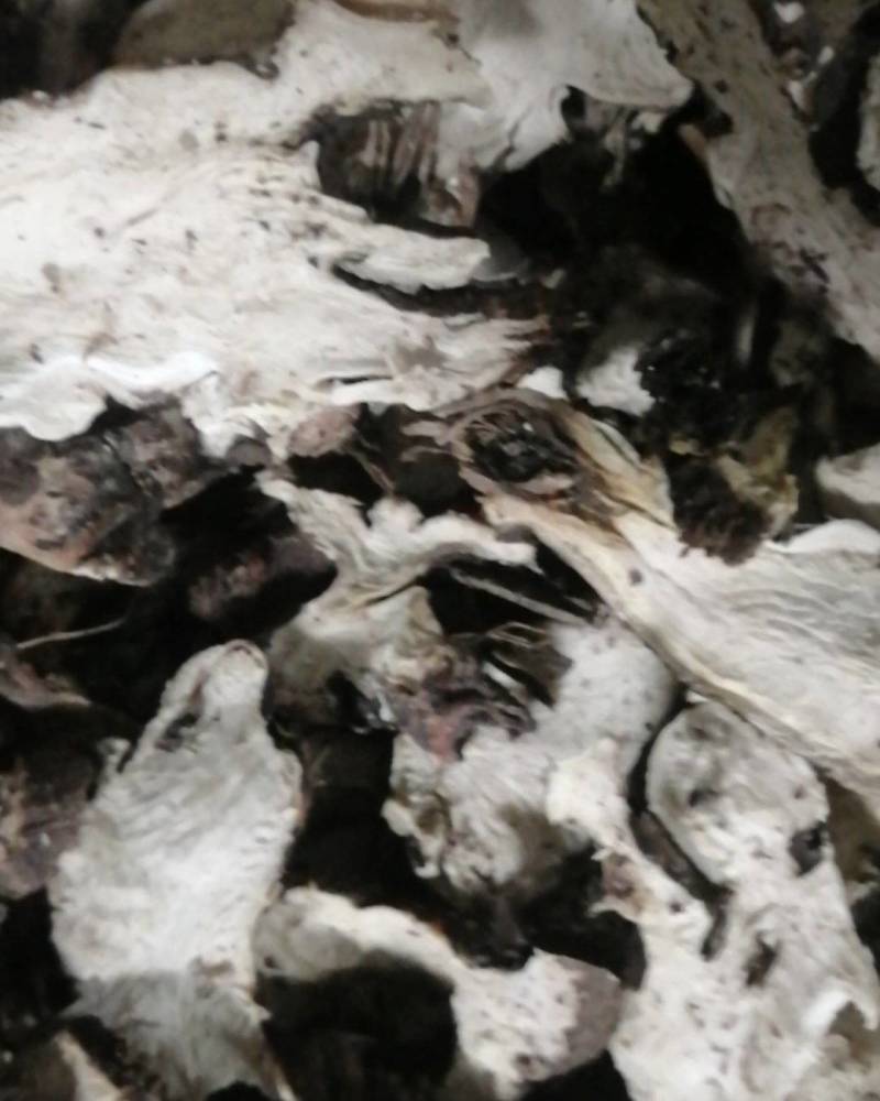 产地直销，熟白芍狗头片，无流烘干，产地河南商丘市虞城县