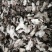 产地直销，熟白芍狗头片，无流烘干，产地河南商丘市虞城县