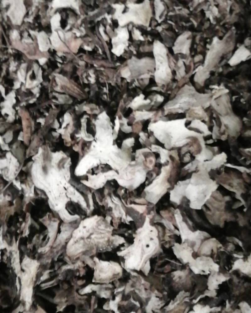 产地直销，熟白芍狗头片，无流烘干，产地河南商丘市虞城县