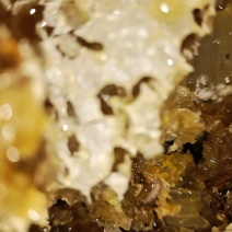 原生态土蜂蜜，原自贵州大山深处，生态好，蜜源足，产好蜜…