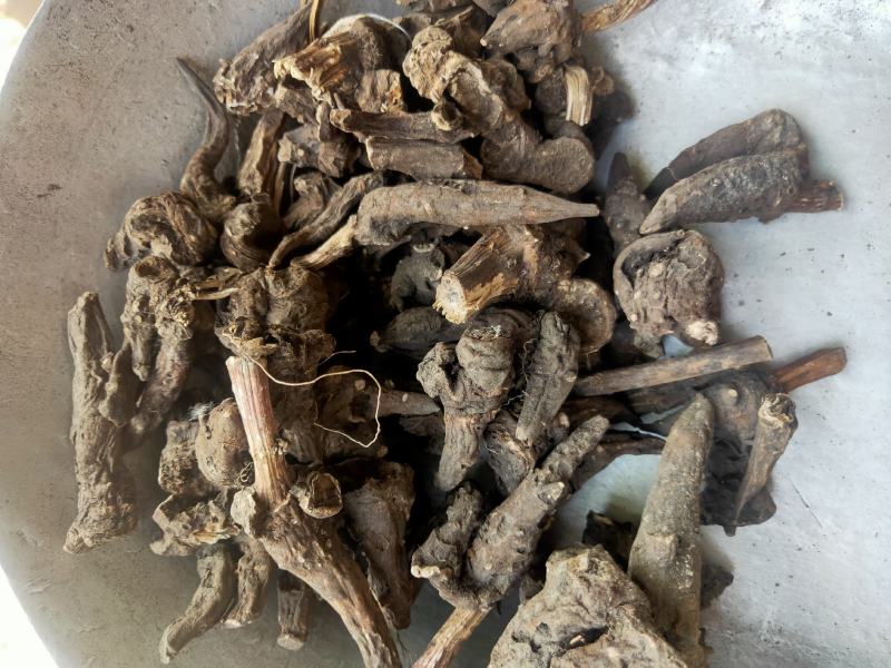 各种乌药产地直发货好要多优惠欢迎下单