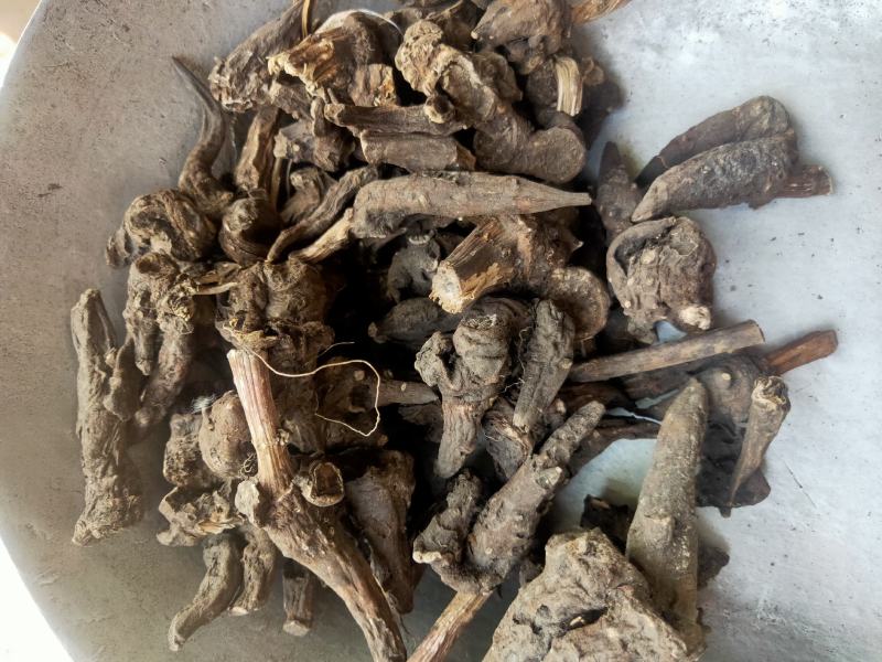 各种乌药产地直发货好要多优惠欢迎下单