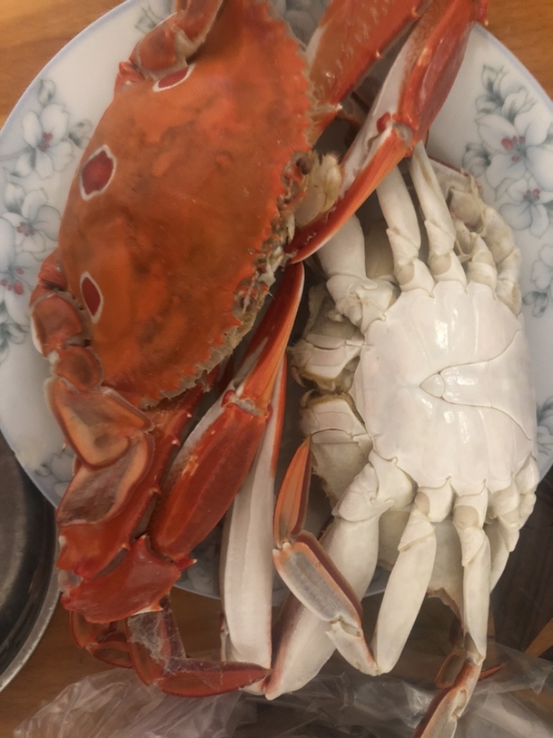 三点蟹