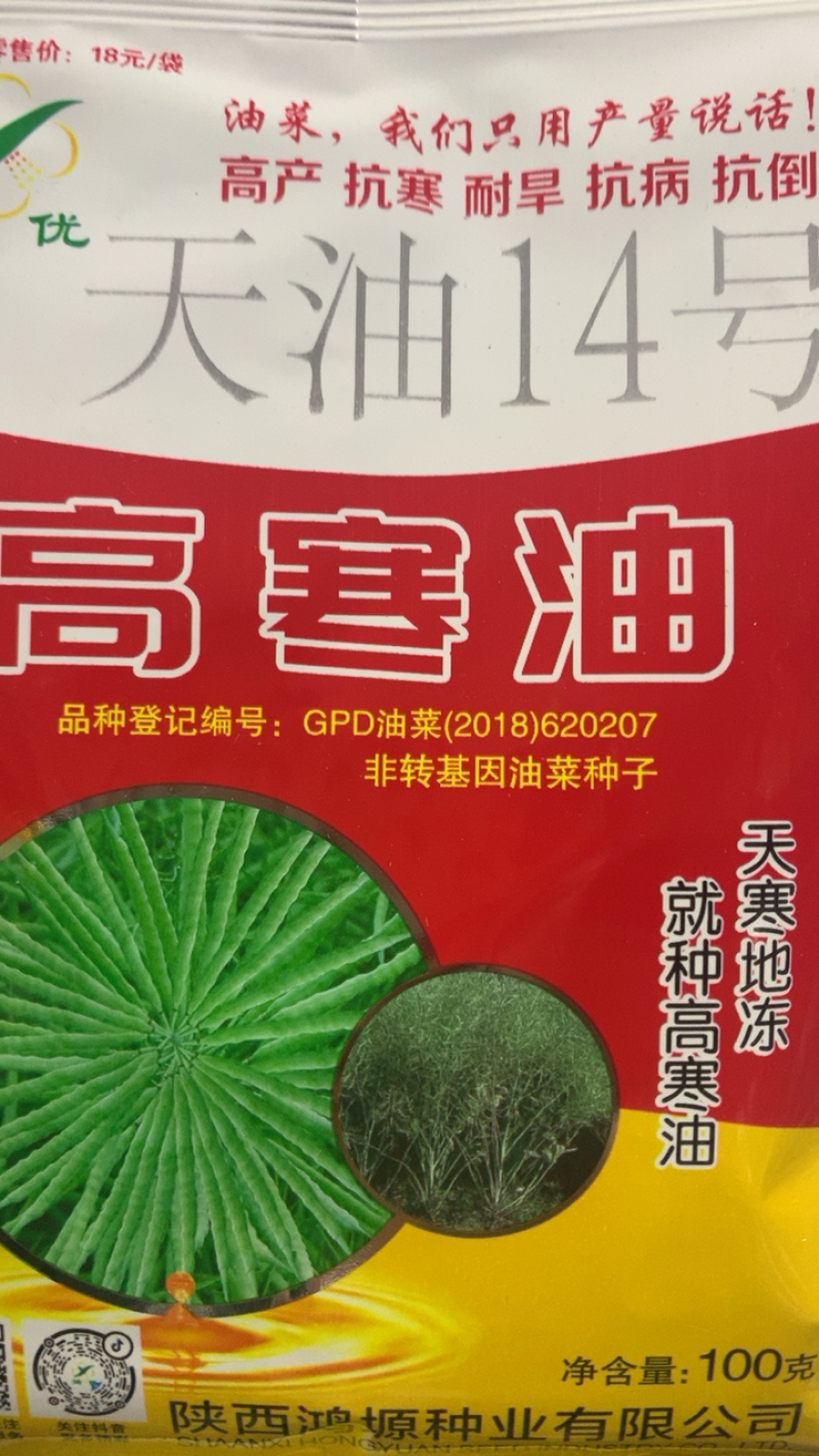 高寒油油菜种子天油14高产抗寒耐旱抗倒