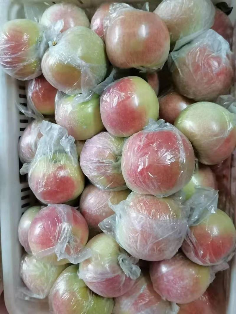 山东美八苹果批发美八苹果质量好口感脆甜全国发货