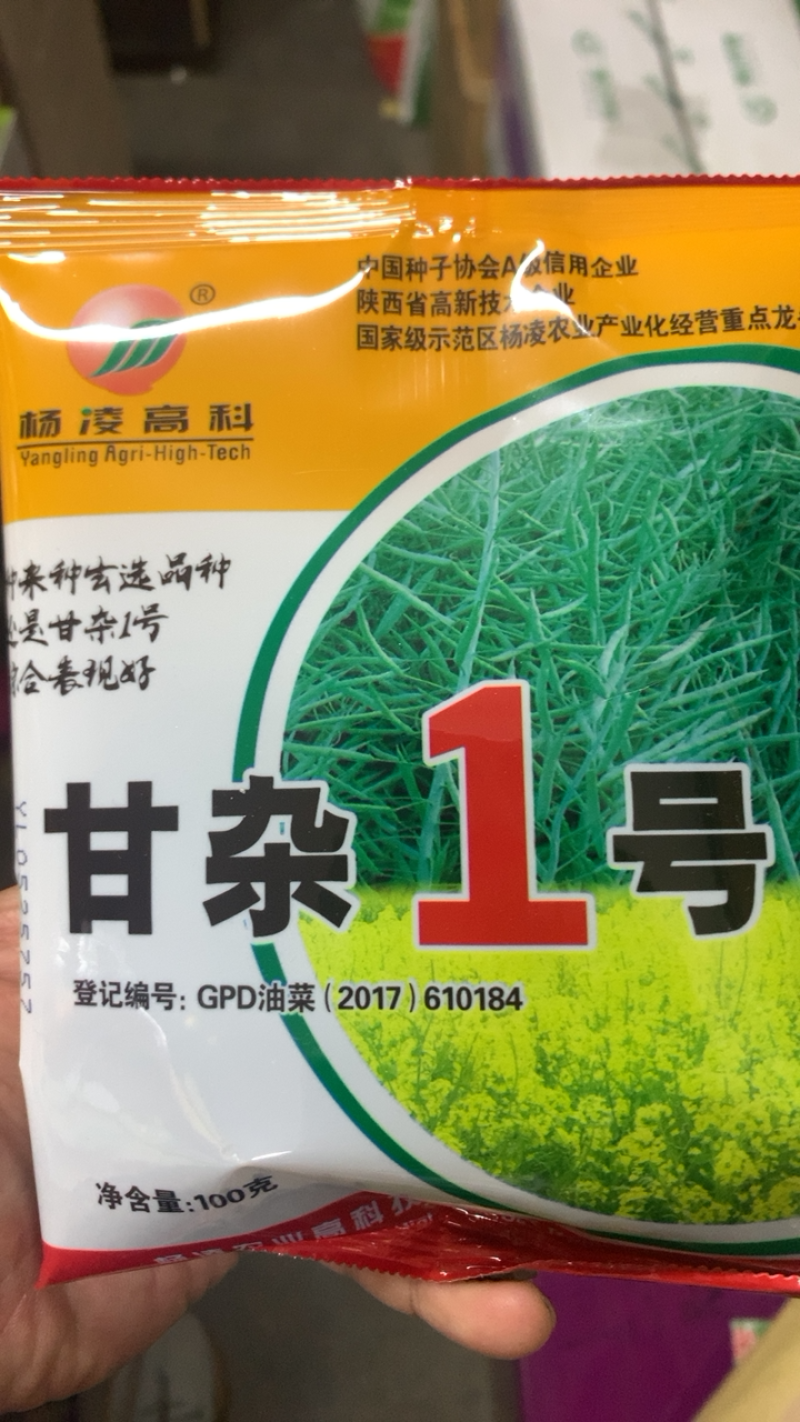 甘杂一号油菜种子经典品种高产抗寒耐旱抗病抗倒