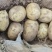 基地沙漠土豆玖恩11.长磊7号货源沃充5号希森6全国发货