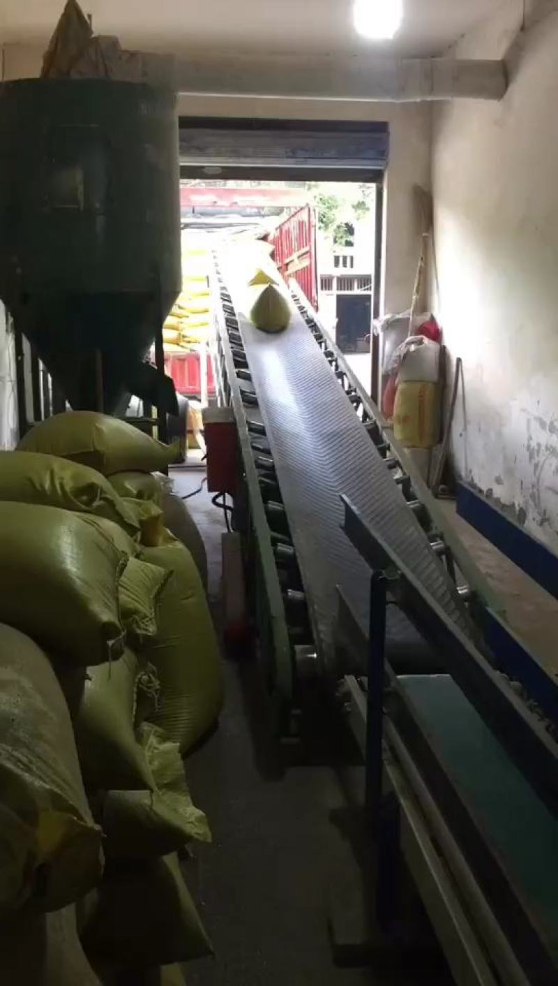 湖北精选优质油菜籽高含油水份低几乎零杂质