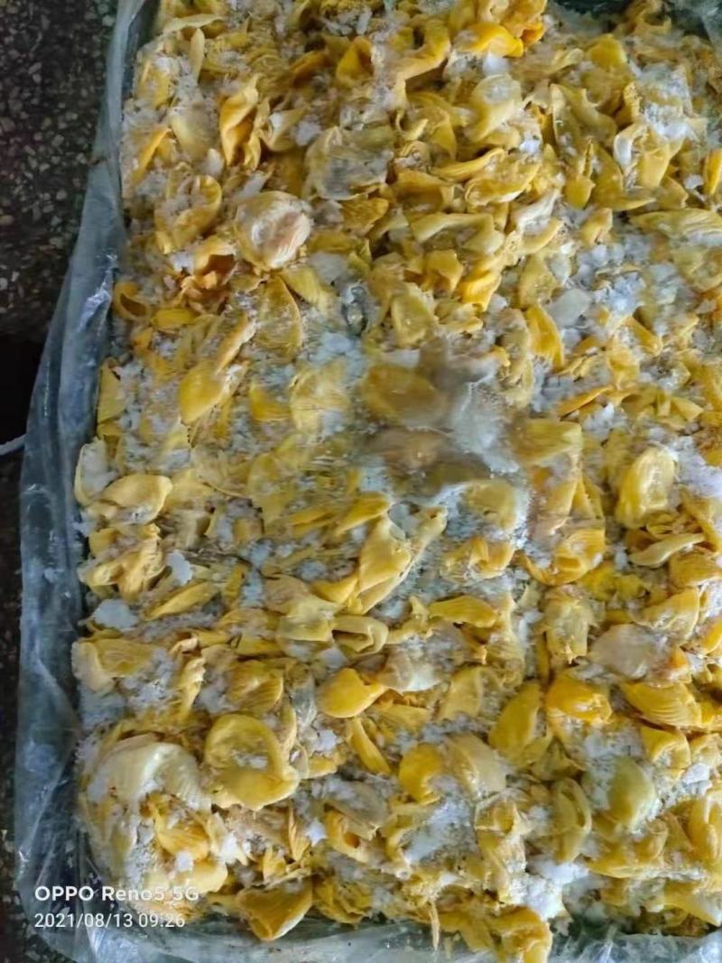 老母鸡内金