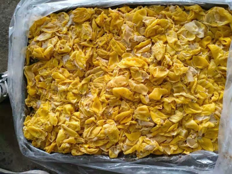 老母鸡内金