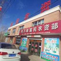 西州蜜17号蜜瓜成熟了！大量上市啦