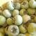 脆柿，恭城瑶族自治县产地直供优质瑶山甜，脆柿
