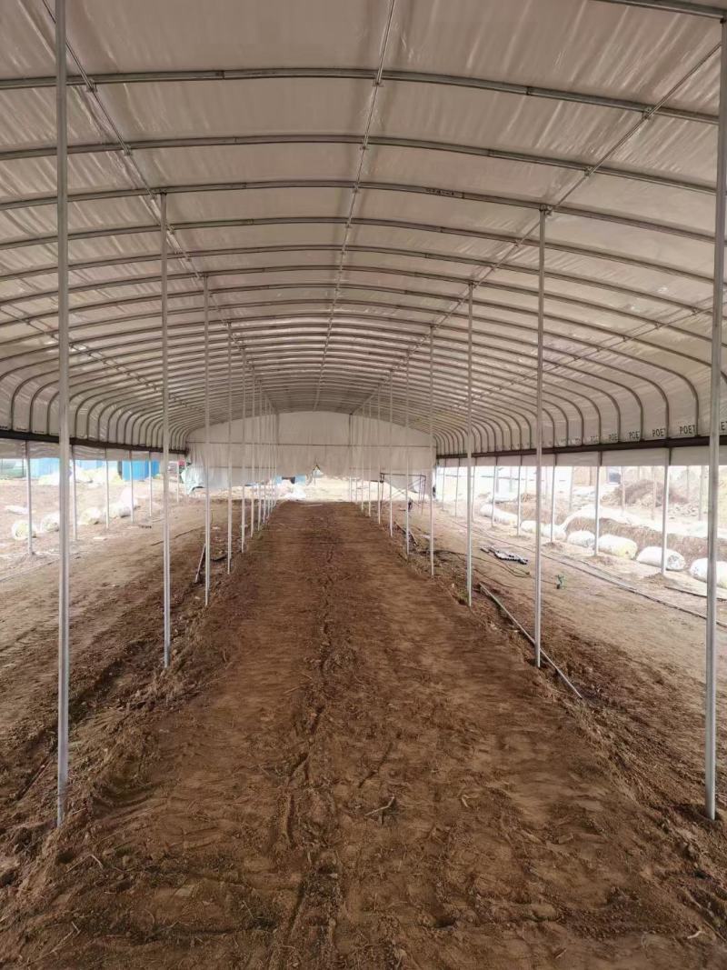 生产各种规格养殖大棚蔬菜种植大棚质保全国发货