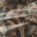 正宗野生菌杂菌无添加500g四川省广元市青川县