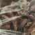 正宗野生菌杂菌无添加500g四川省广元市青川县