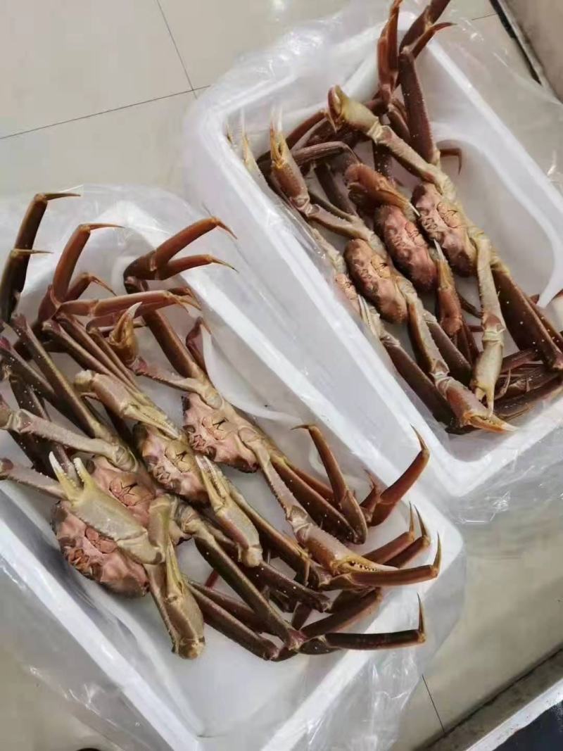 辽宁大连雪蟹，一件代发，批发零售，全国空运发货量大质优