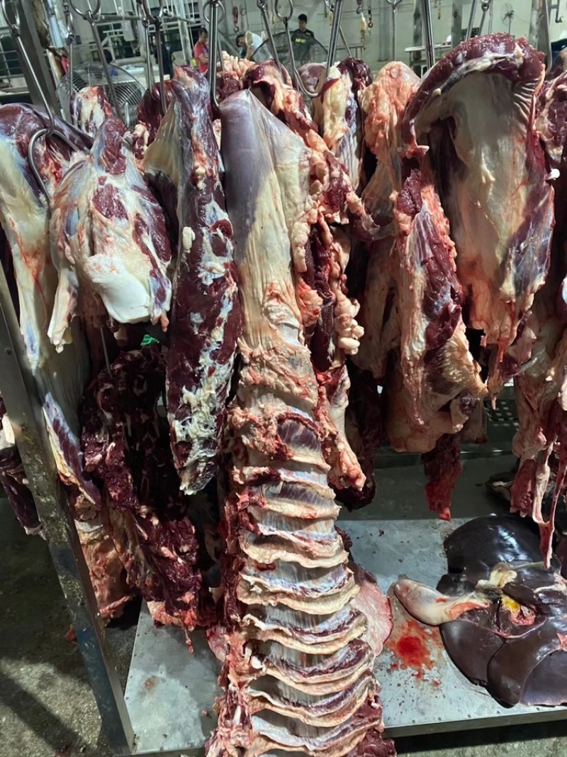 精修牛肉以及牛副产品