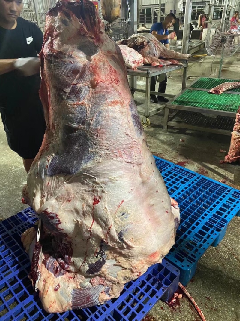 精修牛肉以及牛副产品