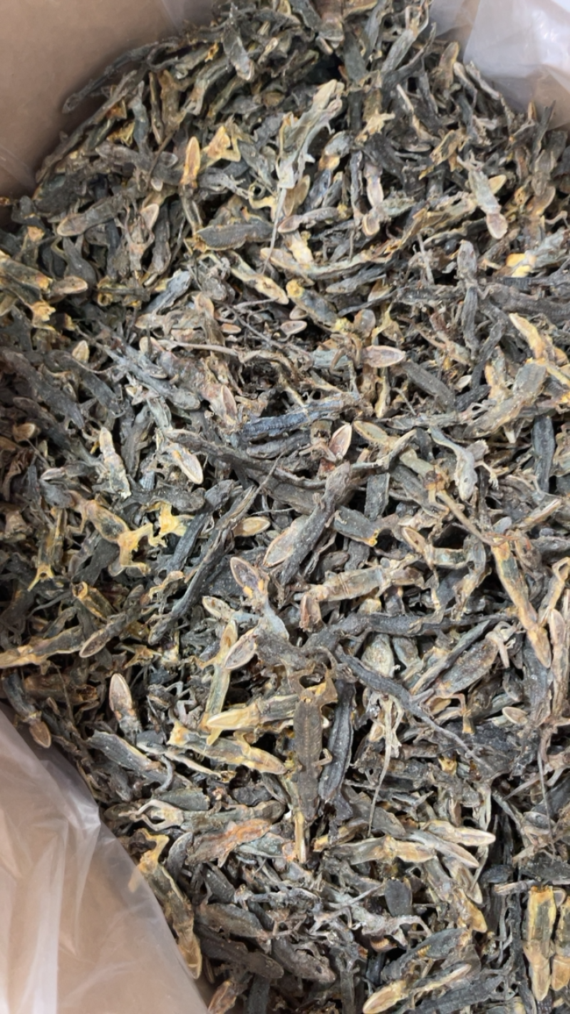 中药材天龙壁虎干货批发价格