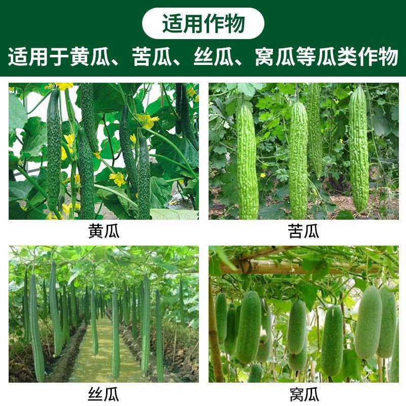 针蜂药果实蝇农药丝瓜甜瓜火龙果柑橘果实蝇针蜂专用杀虫剂