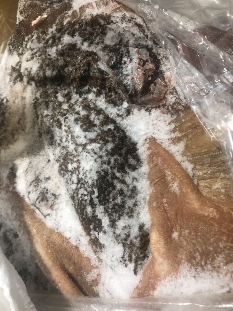 青藏高原高海拔牛副产品牦牛带毛牛肚纯干货