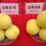 离核大黄桃,半斤起步,手选,欢迎四方客商采购