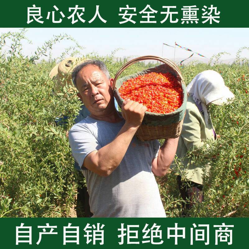 2023宁夏大颗粒枸杞子包邮快递送货上门