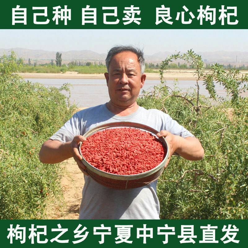 2023宁夏大颗粒枸杞子包邮快递送货上门