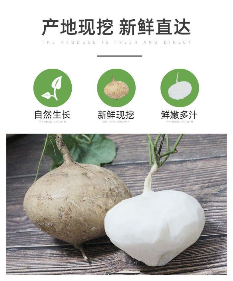 广西凉薯现挖新鲜蔬菜水果农家自种白地瓜豆薯番薯