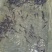黄桑鱼苗黄骨鱼苗黄辣丁鱼场直供