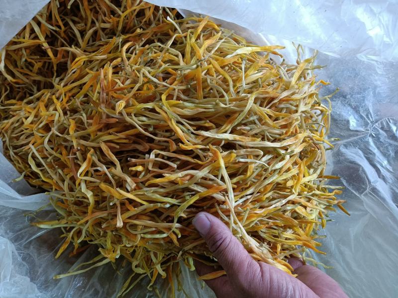 【推荐】优质供货电商，祁东保鲜黄花菜精品菜，价格优惠