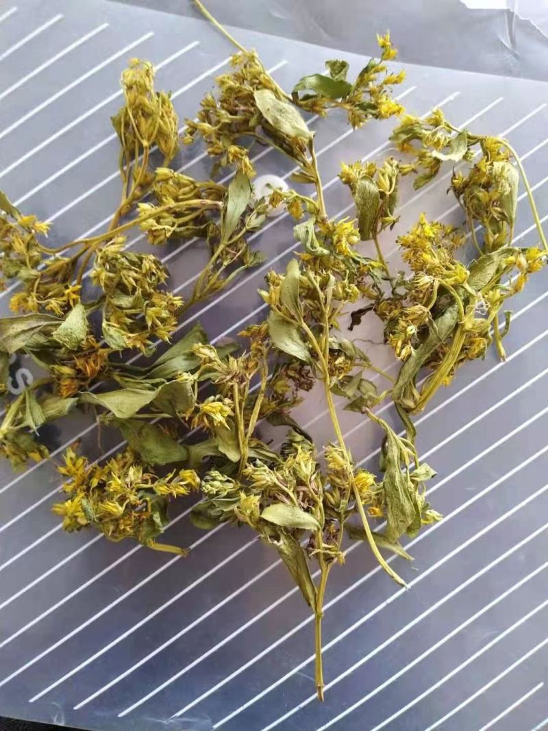 马齿苋又名长寿菜，健康长寿，天然野生菜，纯野生的。