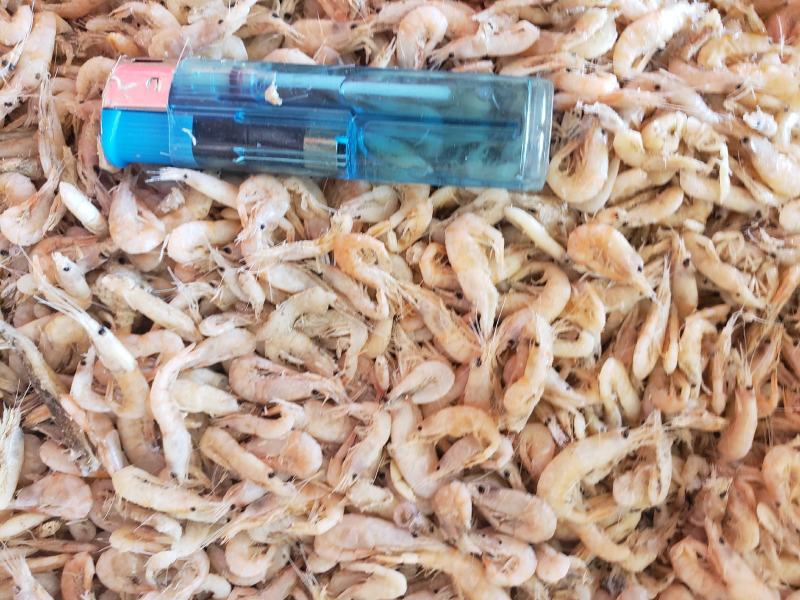现有价格亲民，油炸膨化虾皮（麦杆虾）勾子虾颜色漂亮
