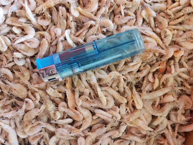 现有价格亲民，油炸膨化虾皮（麦杆虾）勾子虾颜色漂亮
