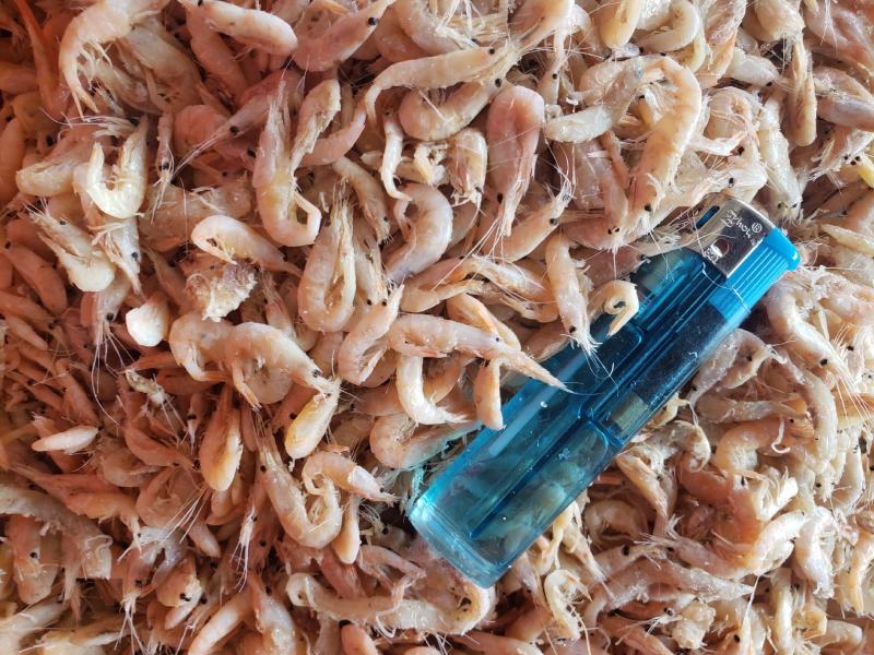 现有价格亲民，油炸膨化虾皮（麦杆虾）勾子虾颜色漂亮
