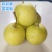 云南个旧梨花谷加级寨雪花梨雪梨冰糖雪梨