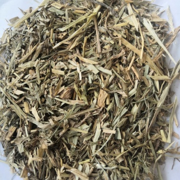 产地直销牛筋草低价出售
