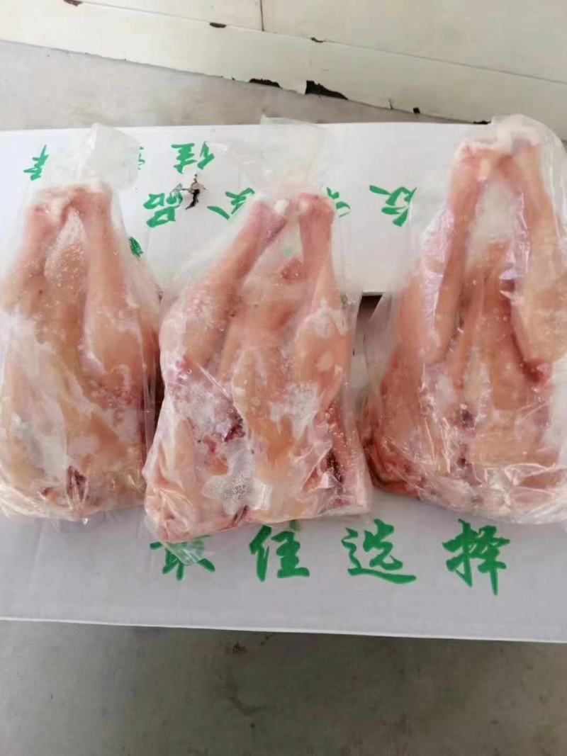 种母鸡，三黄鸡，白条鸡。肉食鸡，老母鸡，适合电商批发加工