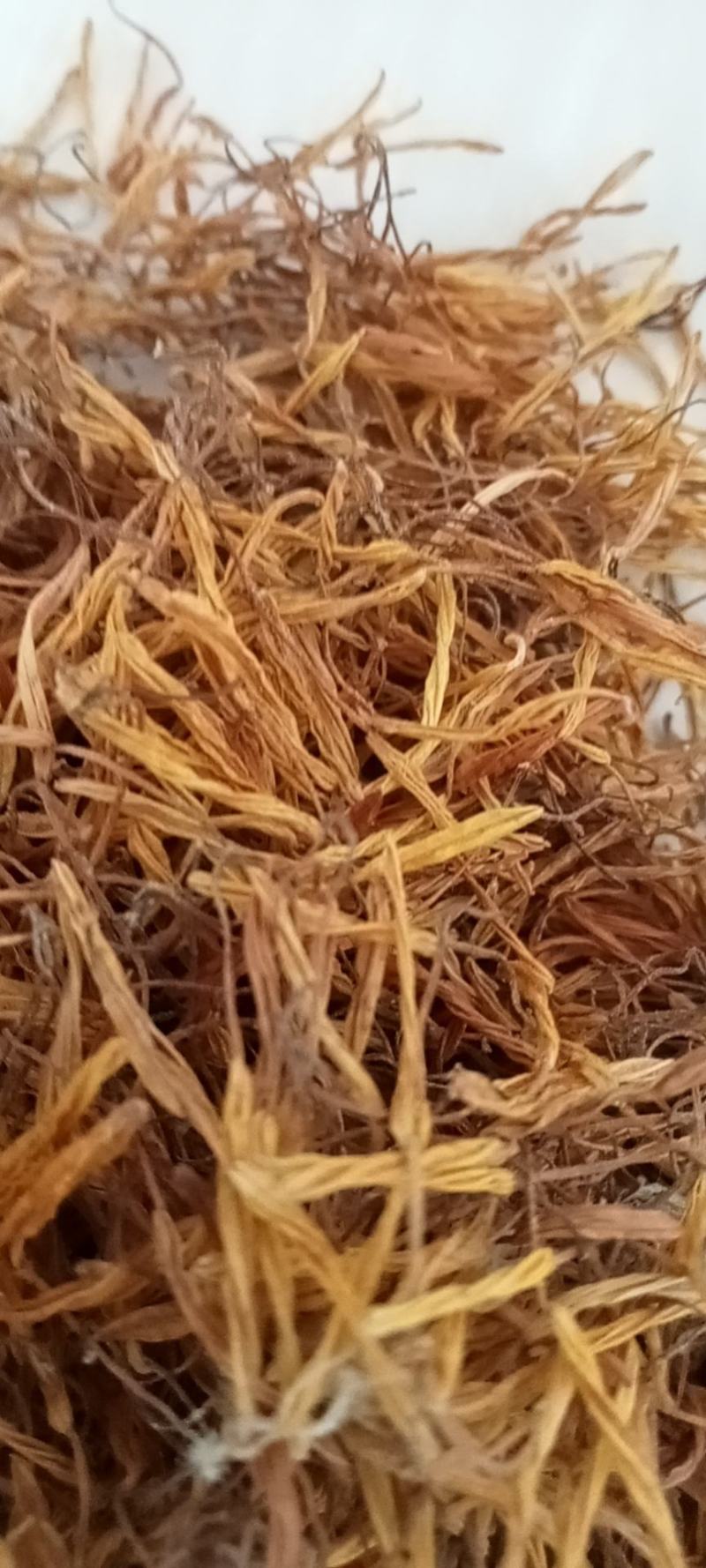荷叶干荷叶新鲜荷叶批发新鲜荷花产地直发