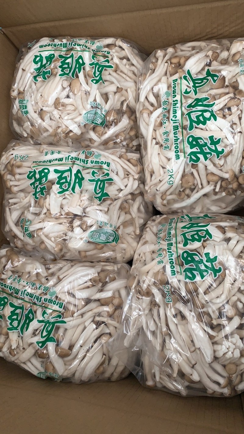 蟹味菇，真姬菇，一手货源～