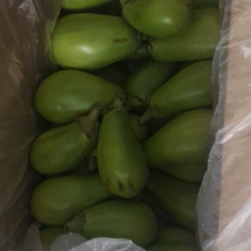长年大量供应湖南食材