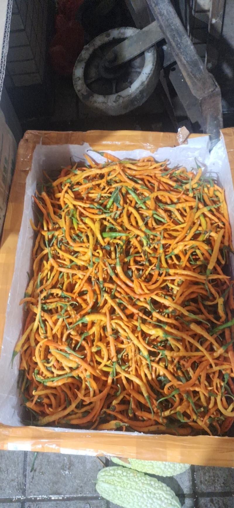 长年大量供应湖南食材