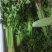 长年大量供应湖南食材
