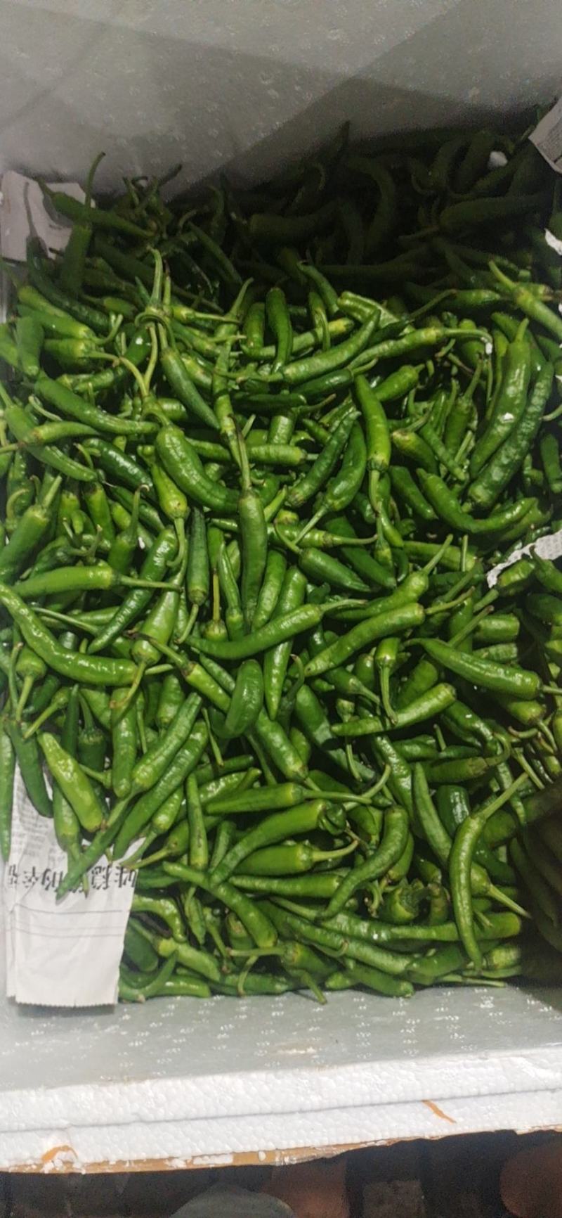 长年大量供应湖南食材