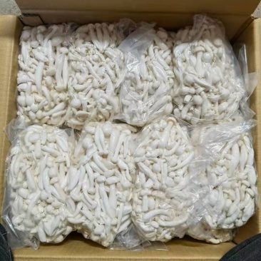 350g白玉菇，无条码，要好货进～