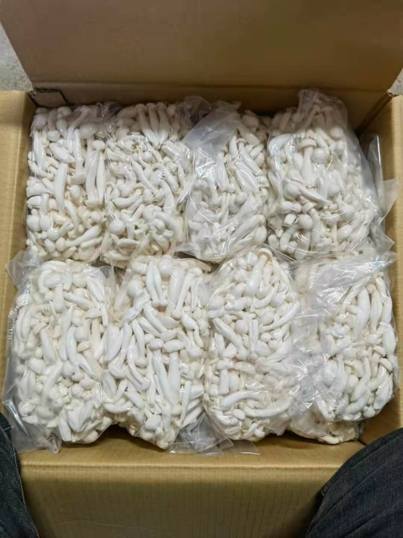 350g白玉菇，无条码，要好货进～