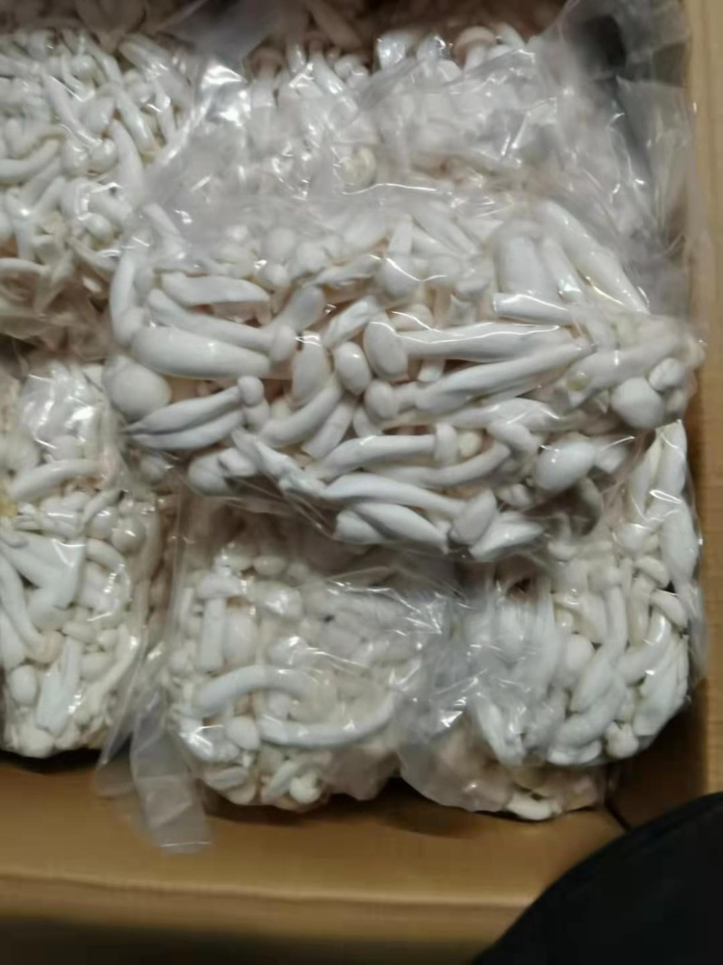 350g白玉菇，无条码，要好货进～