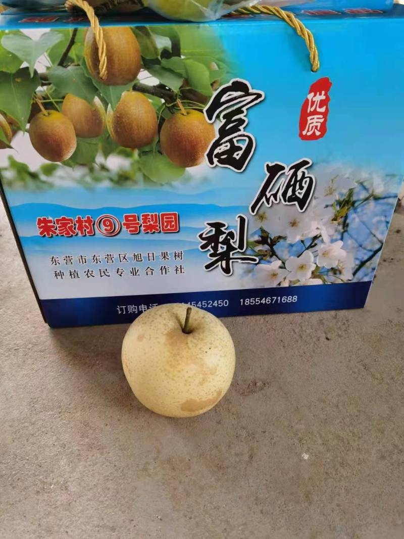 【推荐】优质富硒皇冠梨大量上市中可视频
